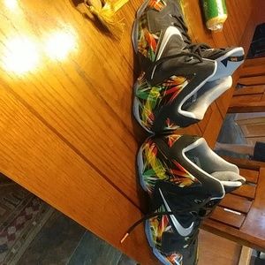 Nike LeBron James 11 "Everglades"